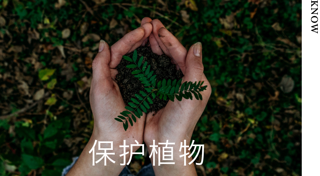 保护植物